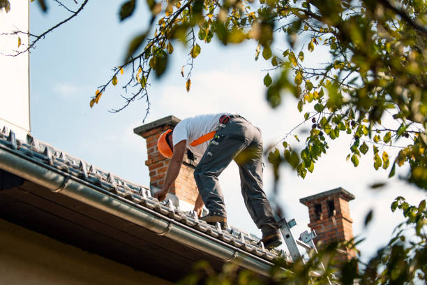 Best Residential Roofing Contractor  in Millport, AL